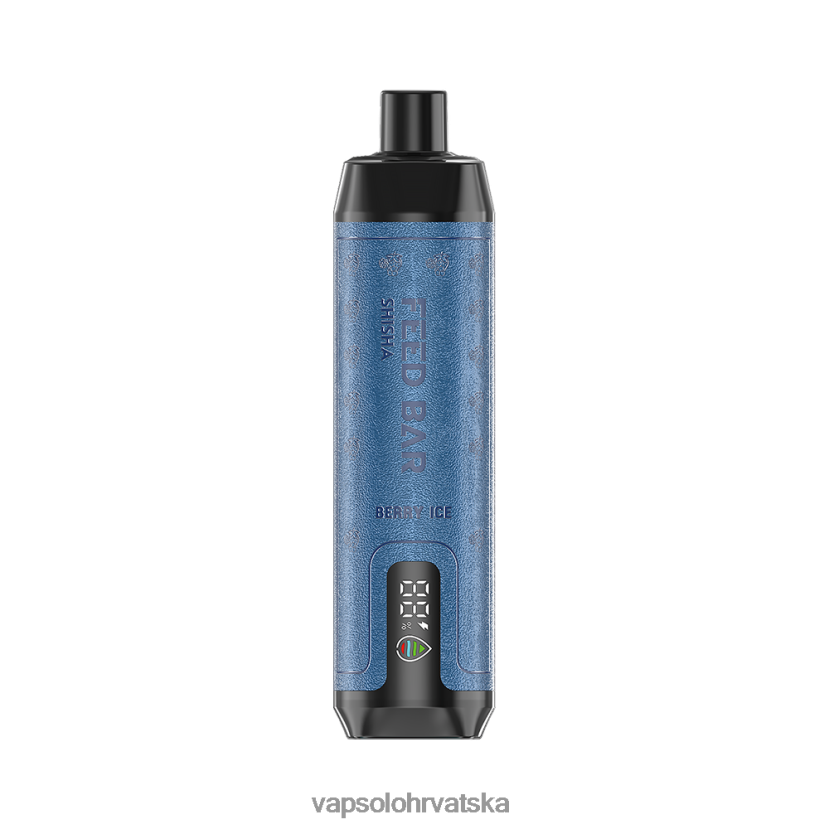 VapSolo Hrvatska - VapSolo SHISHA jednokratni vape VL8VT61 bobičasti led