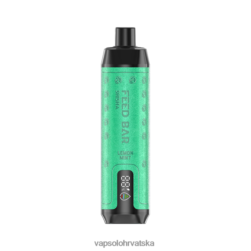 VapSolo Hrvatska - VapSolo SHISHA jednokratni vape VL8VT67 limunska metvica
